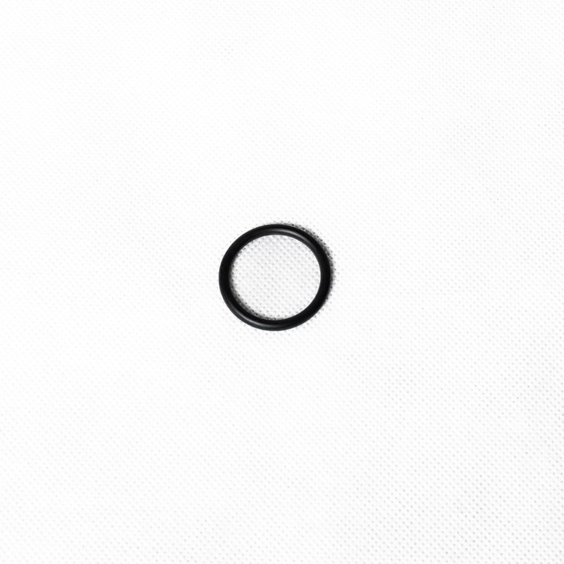 Oring (320/04040)